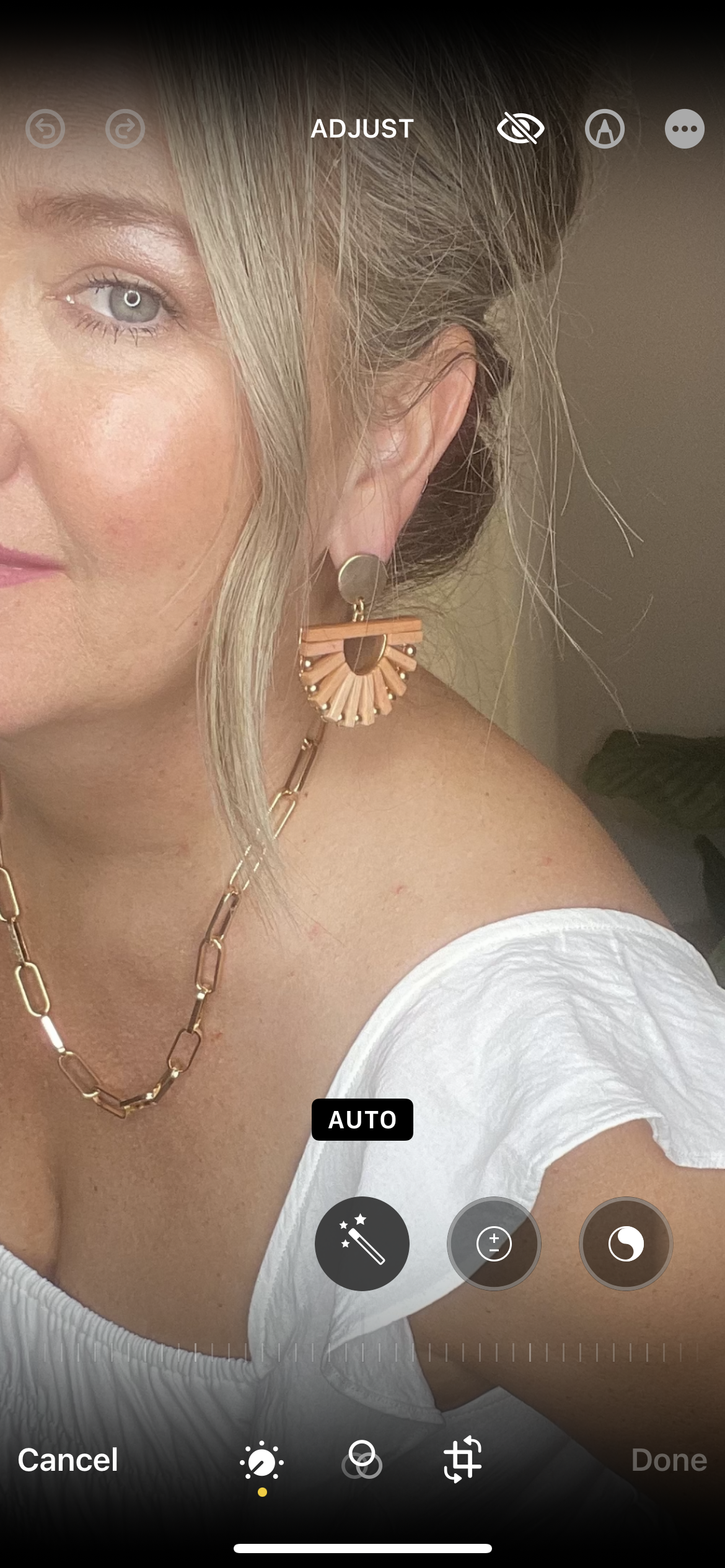 Wooden Fan Earrings